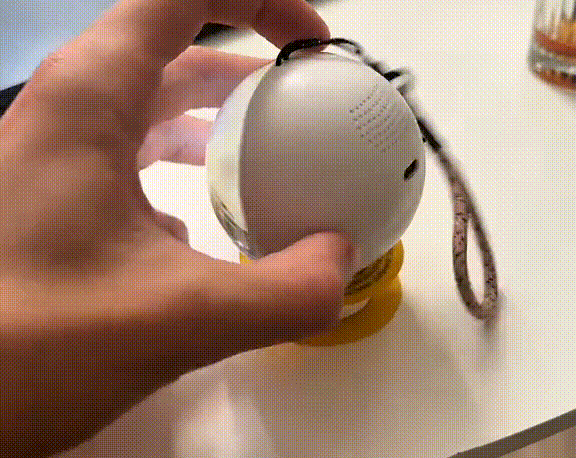 Romonza™ Video Sphere