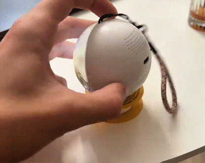 Romonza™ Video Sphere